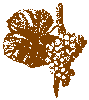 24a