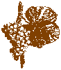 24b